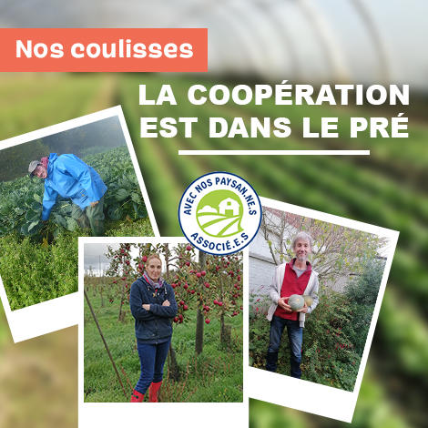 Nos Paysans Associés : la coopération est dans le pré Nos Paysans Associés : la coopération est dans le pré
