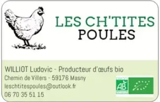Les ch'tittes poules