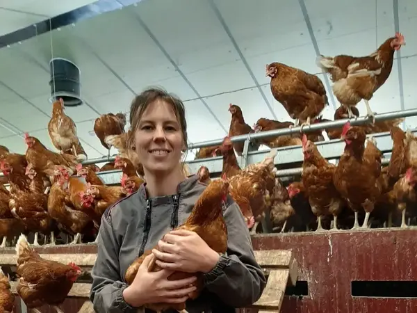 Ferme Catteau