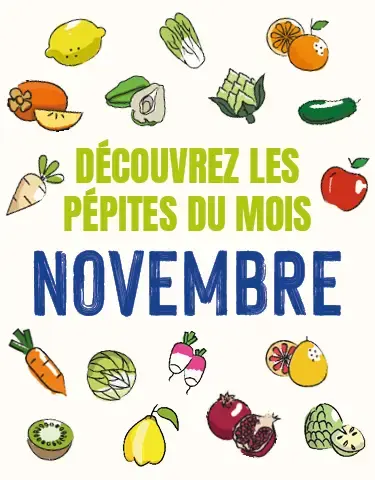 Découvrez notre calendrier de saisonnalité de Novembre 2025 ! Découvrez notre calendrier de saisonnalité de Novembre 2025 !